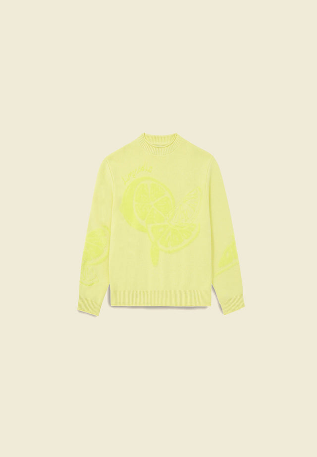 THE STILL LIFE KNIT