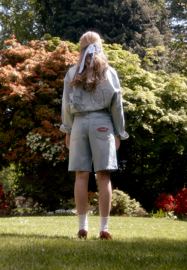 SUNDOWN DENIM SHORTS